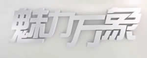 中央电视台CCTV9纪录频道魅力万象