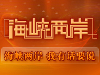 中央电视台CCTV4中文国际频道海峡两岸（亚洲版）