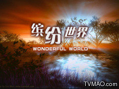 天津电视台二套文艺频道缤纷世界