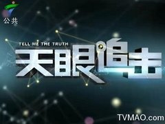 广东电视台四套公共频道天眼追击
