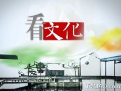 江苏电视台江苏卫视看文化
