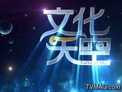 上海电视台艺术人文文化天空
