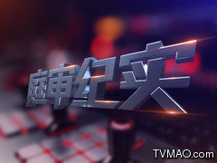 上海电视台新闻综合庭审纪实
