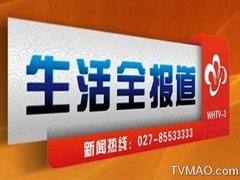 武汉电视台四套经济频道生活全报道