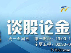 上海电视台谈股论金