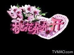湖北电视台经视频道桃花朵朵开