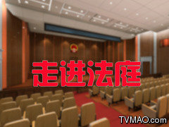 河南电视台四套法制频道走进法庭