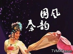 陕西电视台陕西卫视国风秦韵