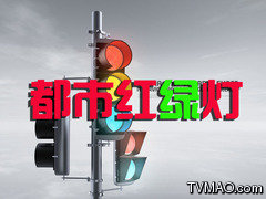 辽宁电视台二套都市频道都市红绿灯