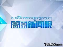 西藏电视台卫视一台汉语频道高原新闻眼