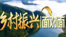 中央电视台CCTV17农业农村频道乡村振兴面对面