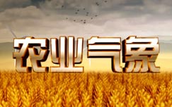 中央电视台CCTV17农业农村频道农业气象