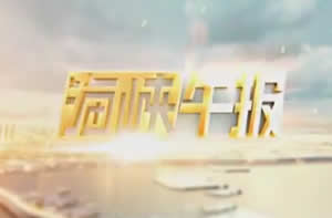 福建电视台FJTV2东南卫视海峡午报