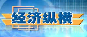 龙岩电视台新闻综合频道经济纵横