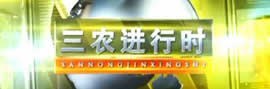 洛阳电视台一套新闻综合频道三农进行时