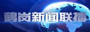 鹤岗电视台一套新闻综合频道鹤岗新闻联播