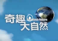广州电视台奇趣大自然