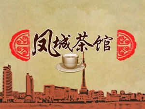 泰州电视台二套经济生活频道凤城茶馆