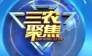 江西电视台五套公共农业频道三农聚焦