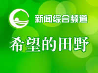 桂林电视台一套新闻综合频道希望的田野