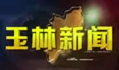 玉林电视台一套新闻综合频道玉林新闻