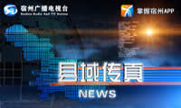 宿州电视台一套新闻综合频道县域传真