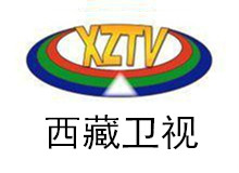 卫视一台汉语频道