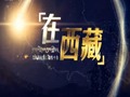 西藏电视台卫视一台汉语频道在西藏