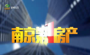 南京电视台一套新闻综合频道南京第一房产